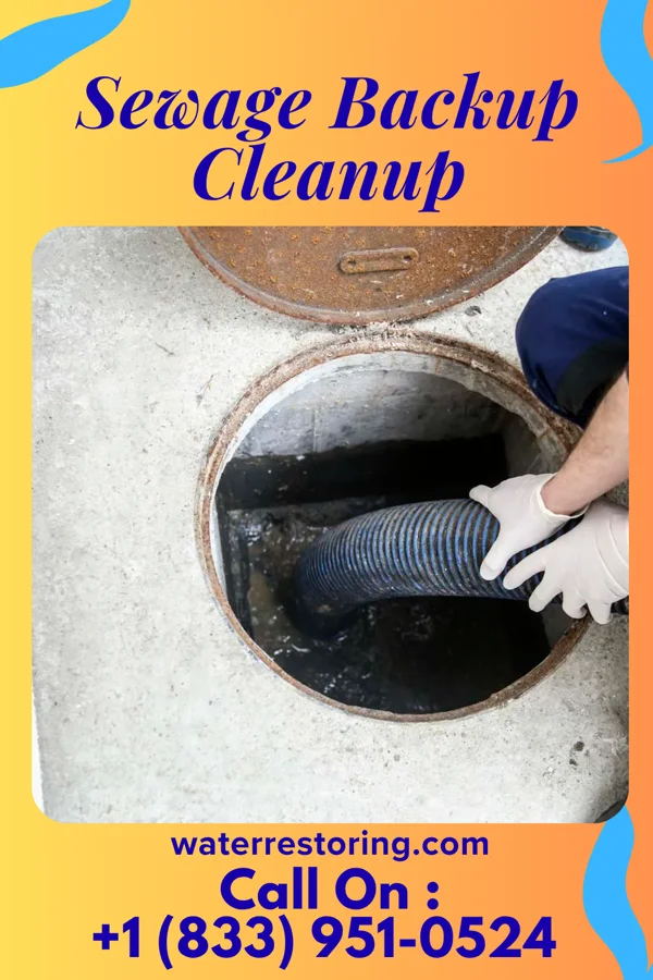 Sewage Backup Cleanup in Leon, KS